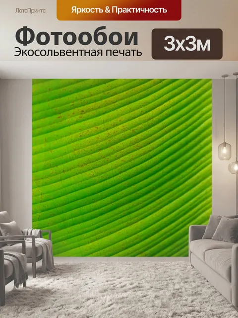 Фотообои Зеленый лист пальмы
