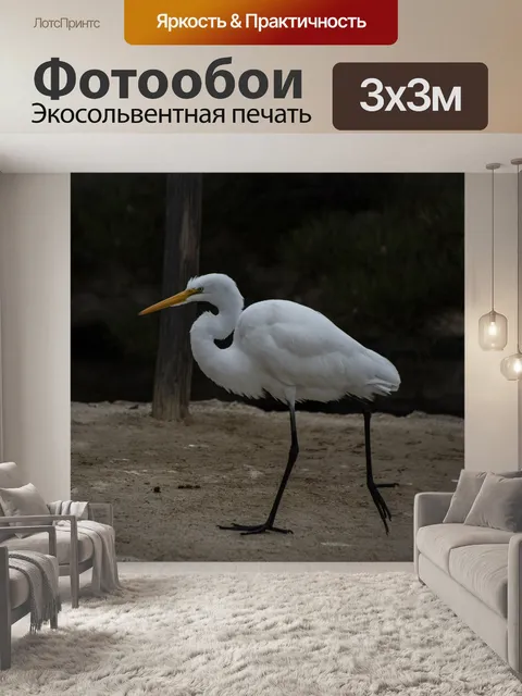 Фотообои Великая белая цапля