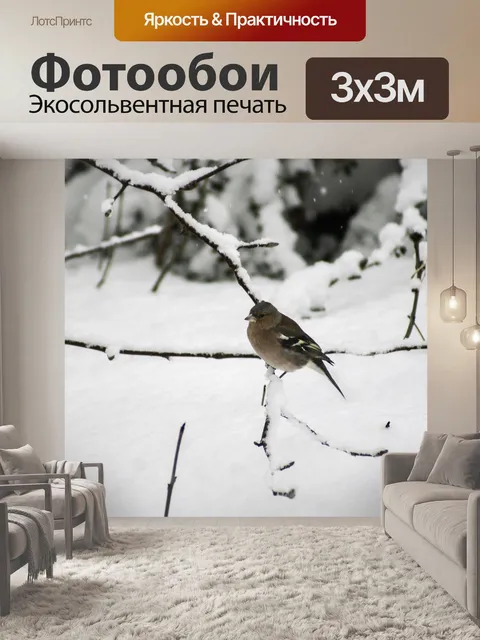 Фотообои Птица