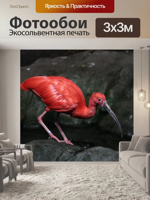 Фотообои Алый ибис