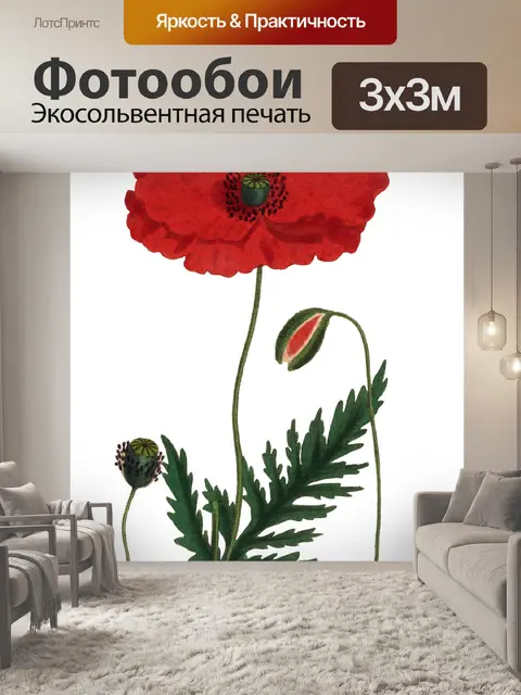 Фотообои Винтаж красный мак Иллюстрация