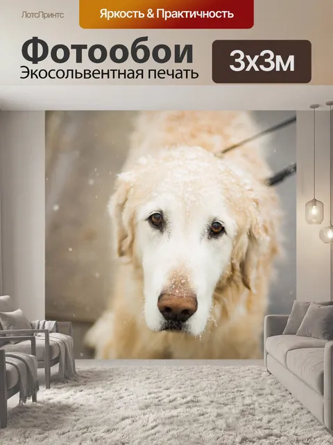 Фотообои Холодный