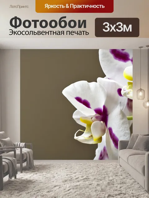 Фотообои Орхидеи
