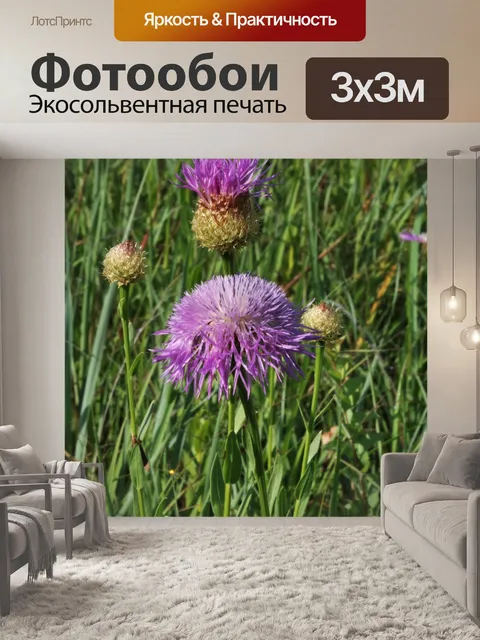 Фотообои Американский цветок и почки корзины