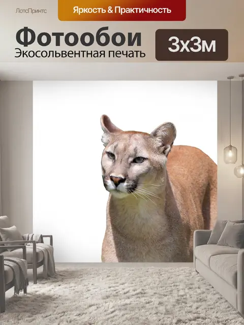 Фотообои Cougar на белом фоне