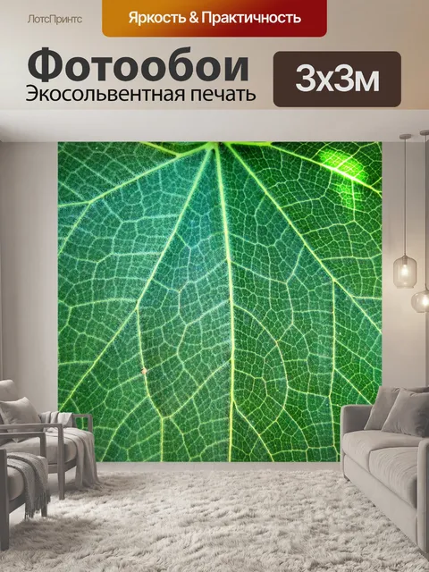 Фотообои Лист