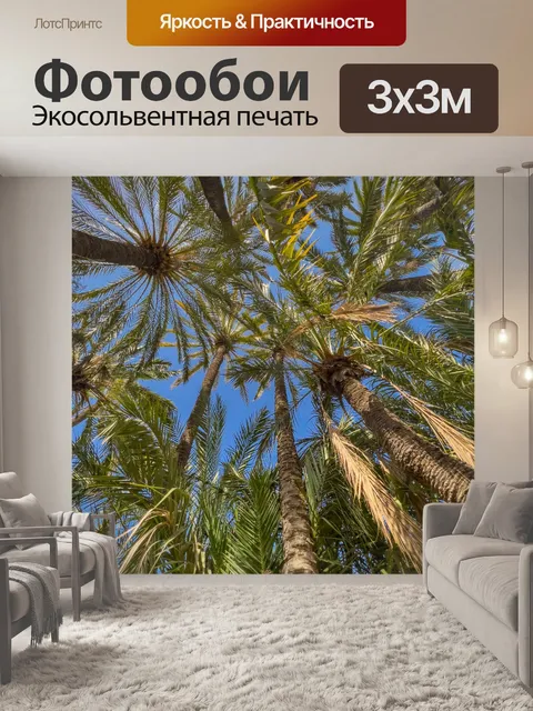 Фотообои Пальмы и голубое небо