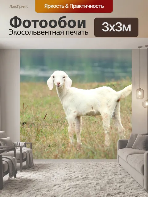 Фотообои Индия
