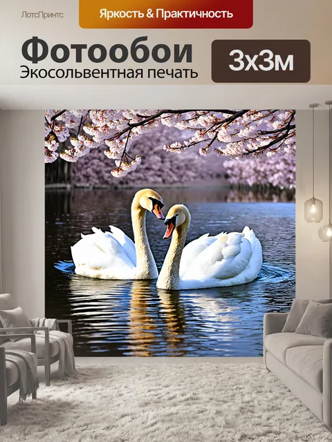 Фотообои два лебедя, изящно плавающие в спокойном пруду под цветущими сакурами