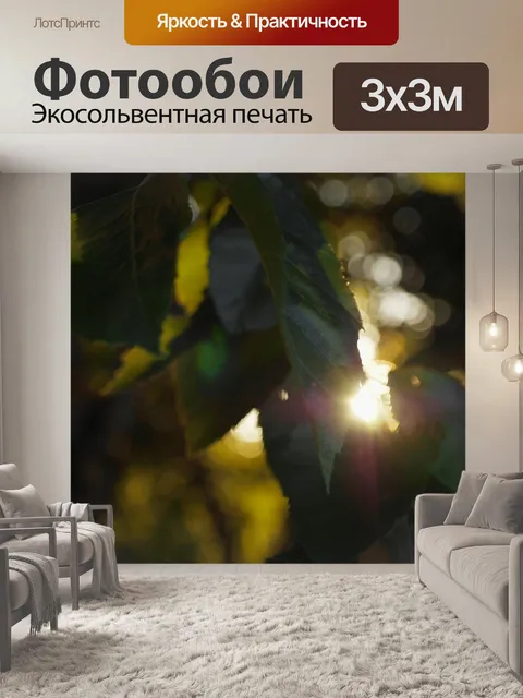 Фотообои Солнце