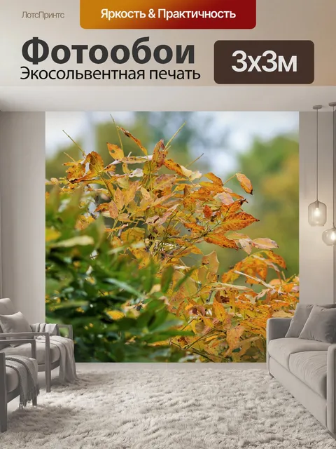 Фотообои дисплей желтых глицинии листьев