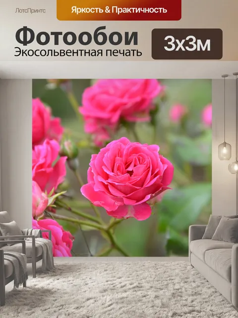 Фотообои Плетистая роза