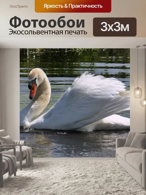 Фотообои Лебедь