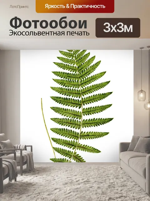 Фотообои Винтажное искусство листьев папоротника