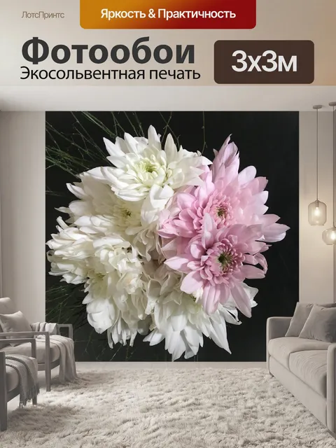 Фотообои Георгины белые
