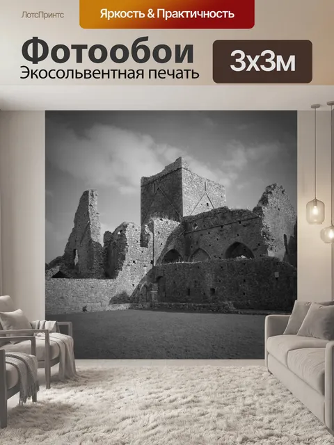 Фотообои Разорение