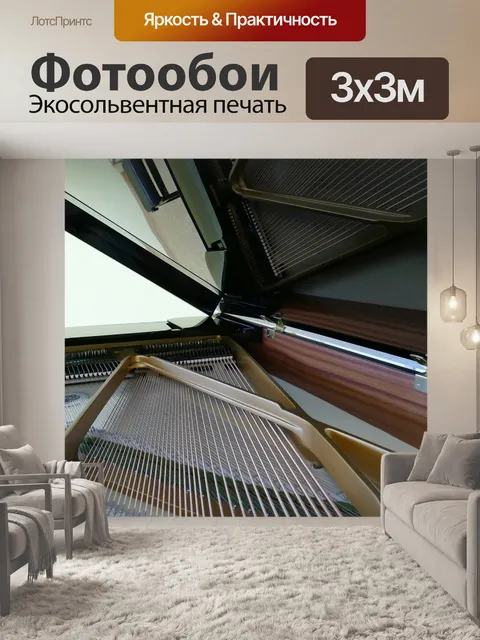 Фотообои Крыло