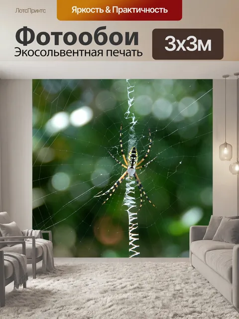 Фотообои Сад паук