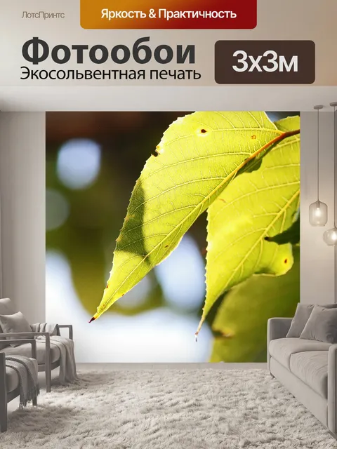 Фотообои пожелтение листьев на японском изюме