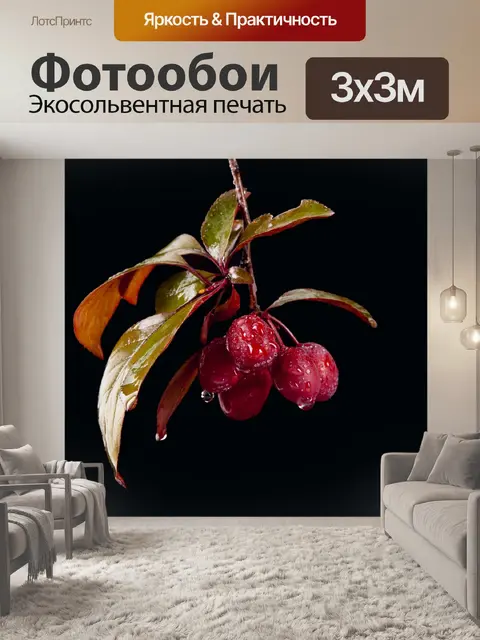 Фотообои Фрукты