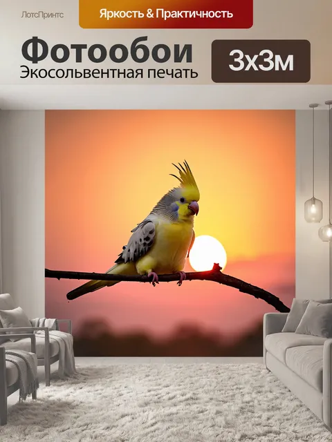 Фотообои корелла на фоне вечернего заката, когда небо окрашено в оранжевые и розовые оттенки