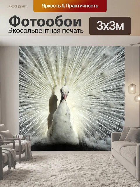 Фотообои Павлин