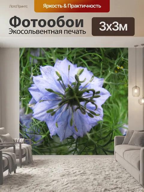 Фотообои Странный синий цветок