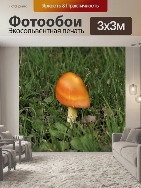 Фотообои Золотой мухомор Гриб в траве