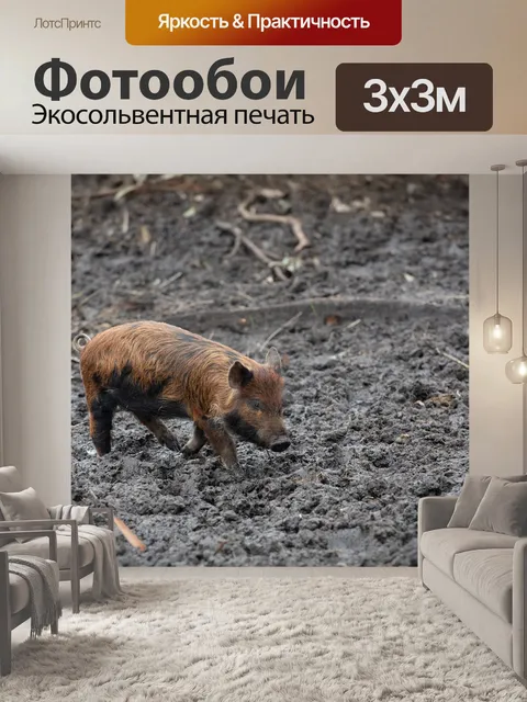 Фотообои Поросенок