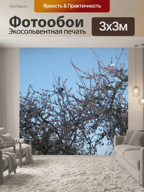 Фотообои Птица в цветущего дерева