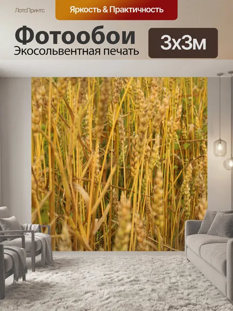 Фотообои Ферма Золотая пшеница