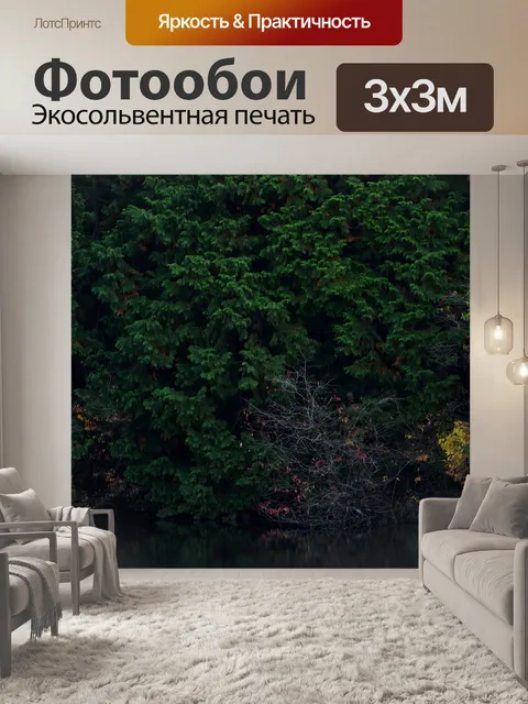 Фотообои Деревья