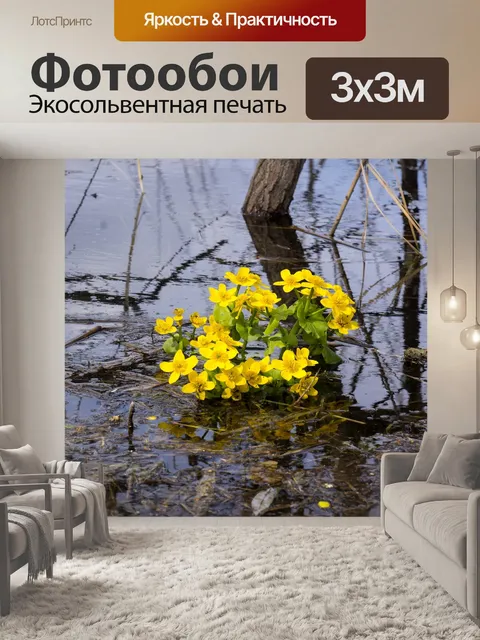 Фотообои Лютики водяные