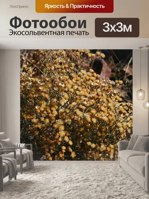 Фотообои маленький кустик с сухими цветами