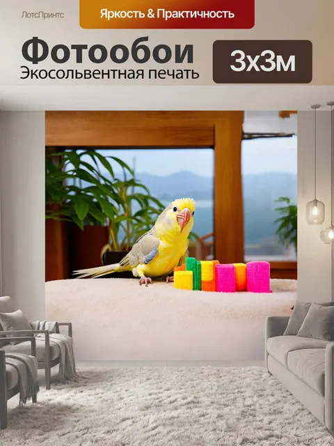 Фотообои корелла, играющая с ярко окрашенной игрушкой, погруженная в свои забавные, игривые моменты