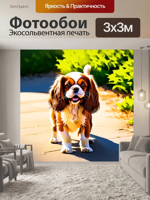 Фотообои кавалер кинг чарльз спаниель с радостным выражением лица