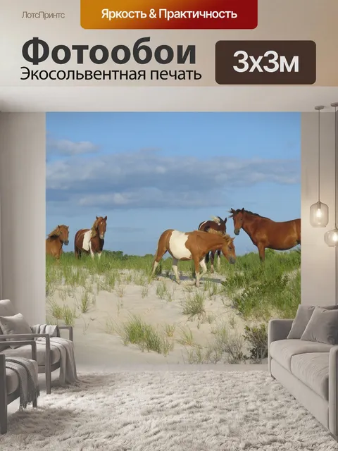 Фотообои Дикие лошади
