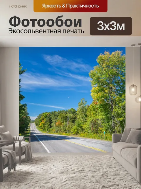 Фотообои Дорожные и осенние деревья