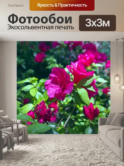 Фотообои Красная азалия