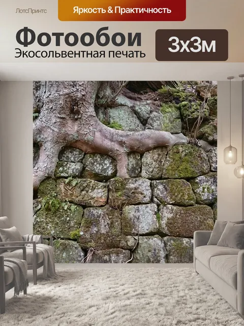Фотообои Корень