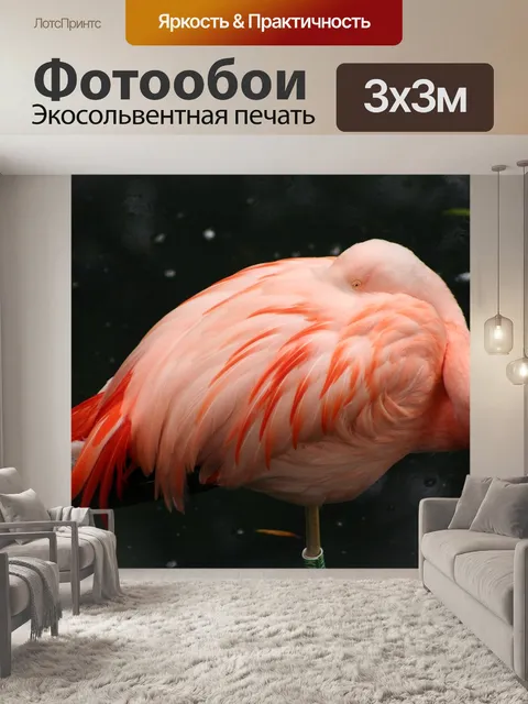 Фотообои Розовый фламинго