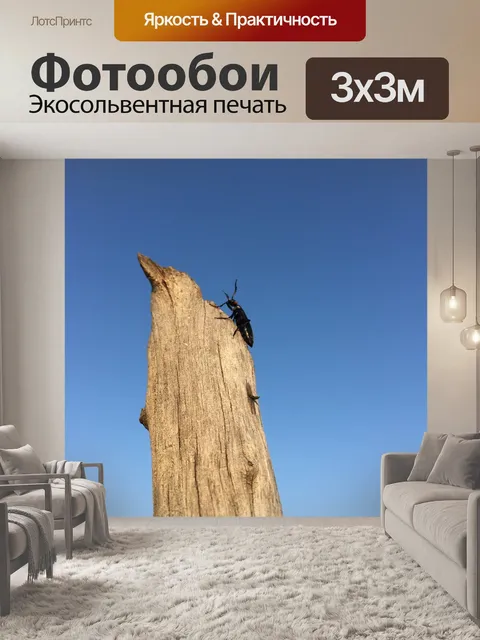 Фотообои Насекомое
