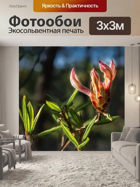 Фотообои Розовая азалия