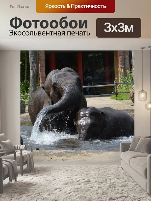 Фотообои В ванне со слонами 2,8