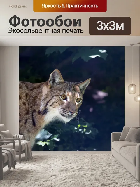 Фотообои Рысь