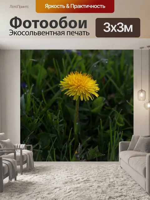 Фотообои Одуванчик