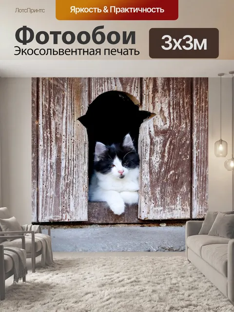Фотообои Кот