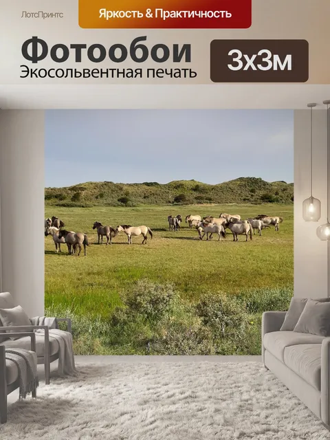 Фотообои Лошади