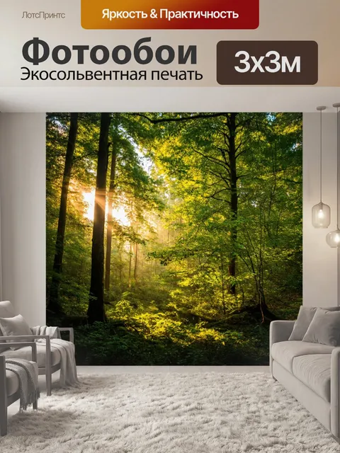 Фотообои лес с утренним светом, пробивающимся сквозь листву