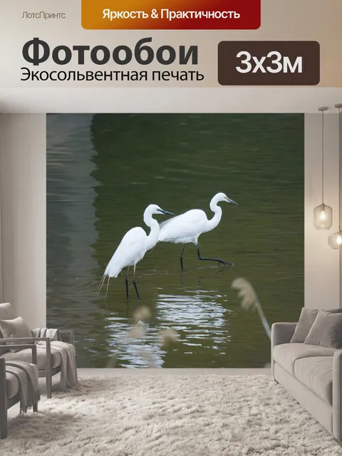 Фотообои Цапли